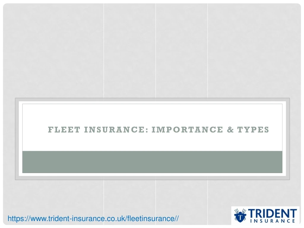 fleet insurance importance types