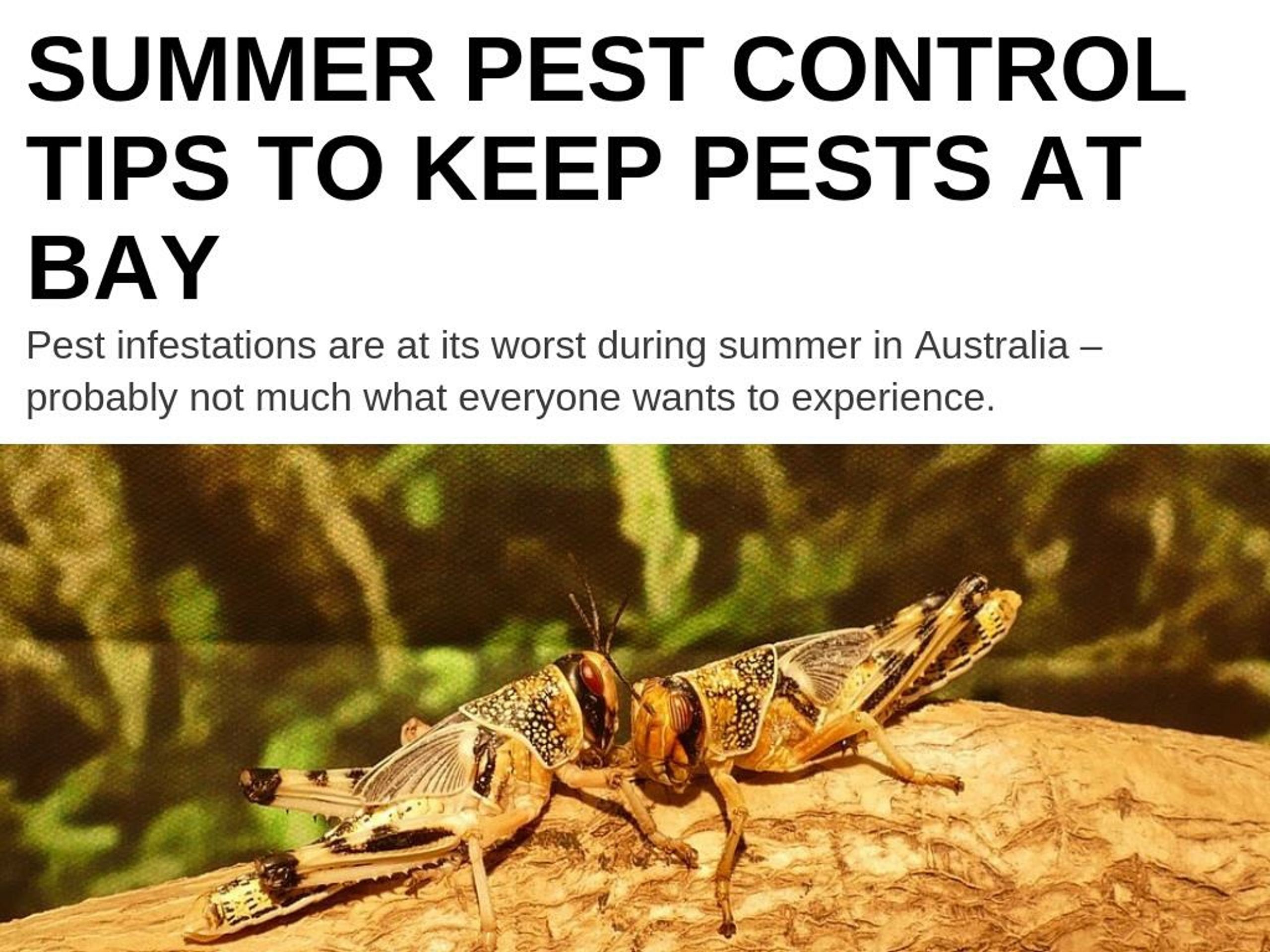 PPT - Summer Pest Control Tips To Keep Pests At Bay PowerPoint ...