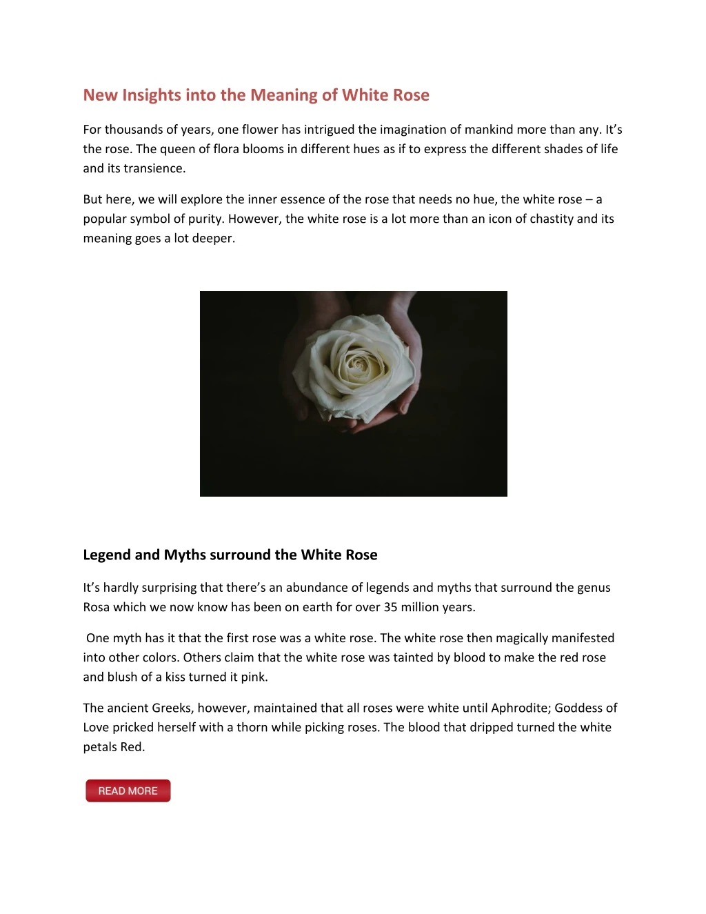 new insights into the meaning of white rose