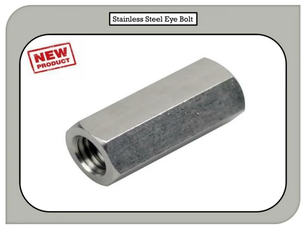 Stainless Steel Eye Bolt