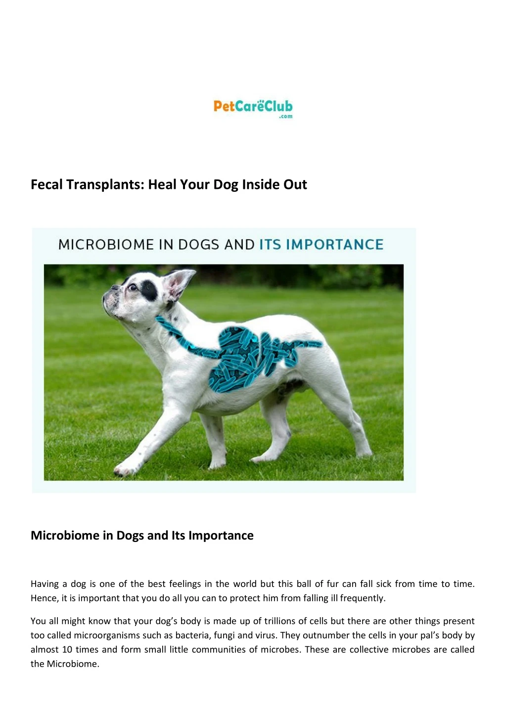fecal transplants heal your dog inside out
