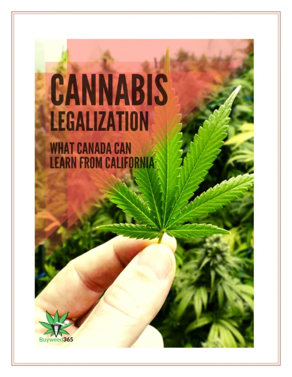 Cannabis Legalization in California