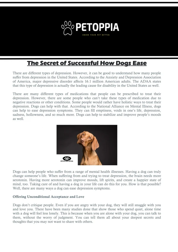 The Secret of Successful How Dogs Ease