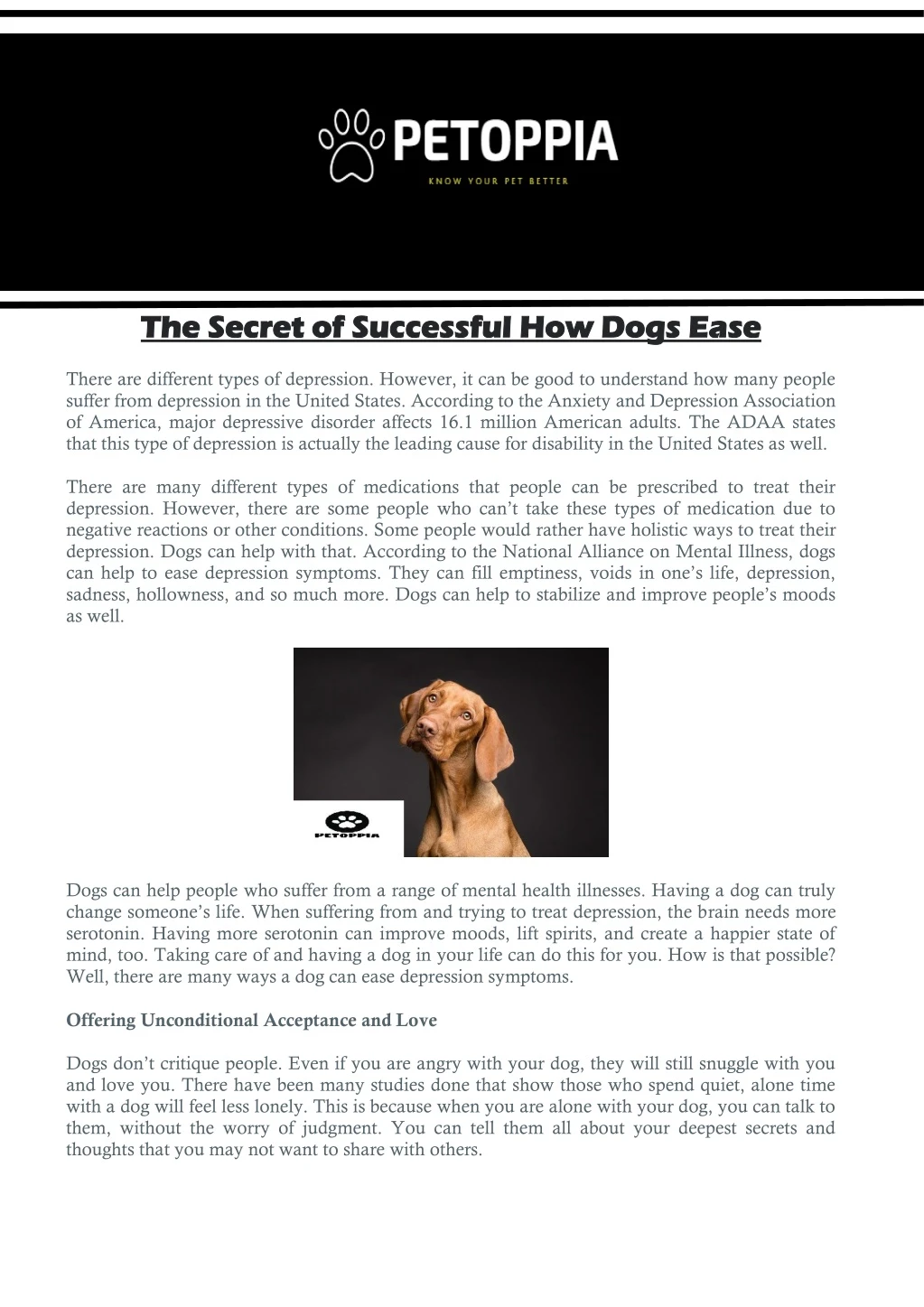 the secret of successful how dogs ease the secret
