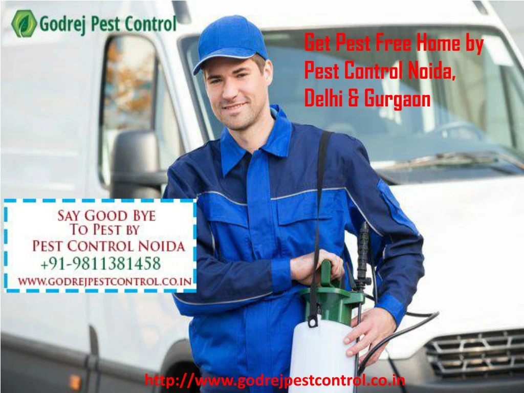 get pest free home by pest control noida delhi