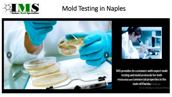 Mold test in Naples