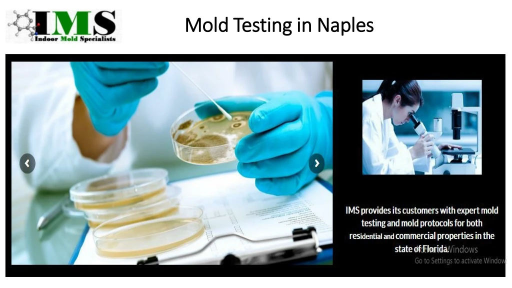mold testing in naples