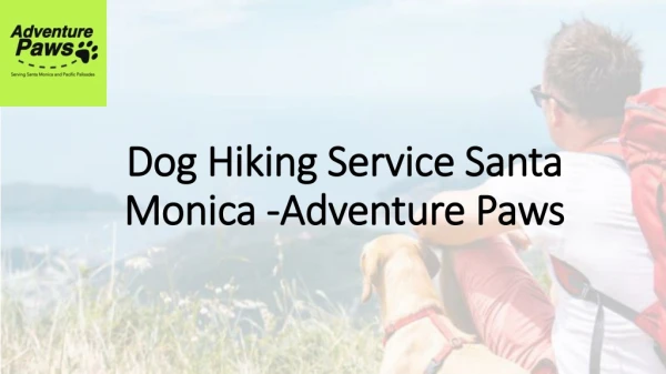 Dog Hiking Service Service in Santa Monica