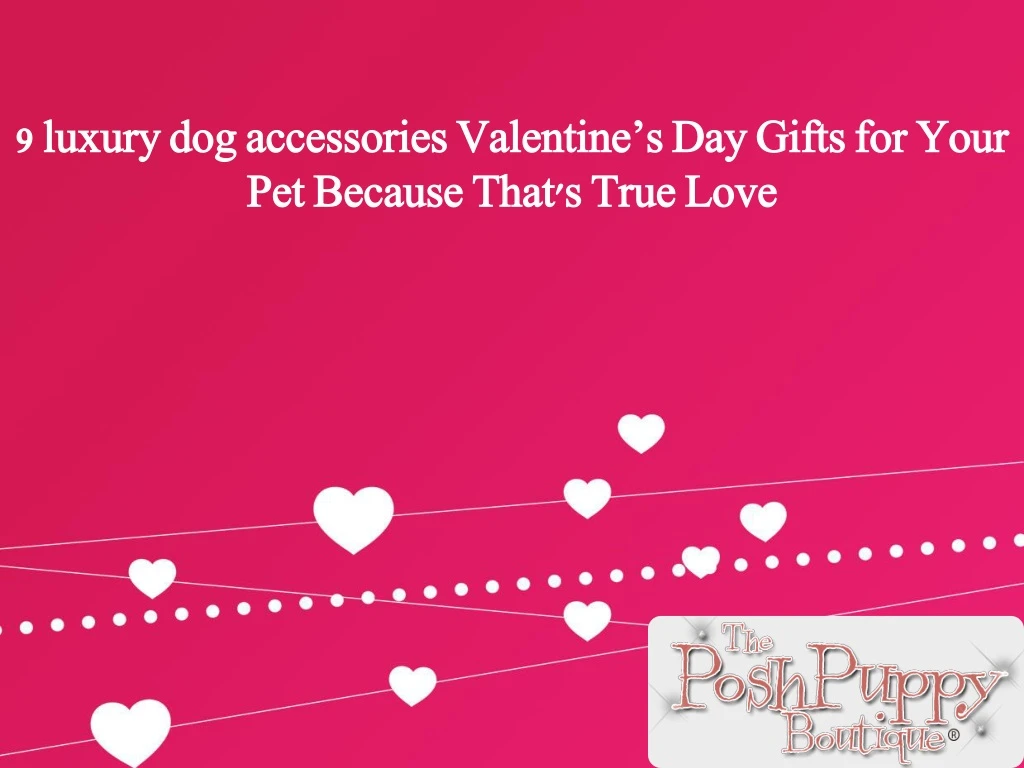 9 luxury dog accessories valentine s day gifts