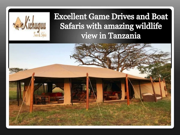 Excellent Game Drives and Boat Safaris with amazing wildlife view in Tanzania