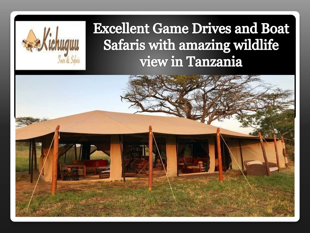 excellent game drives and boat safaris with