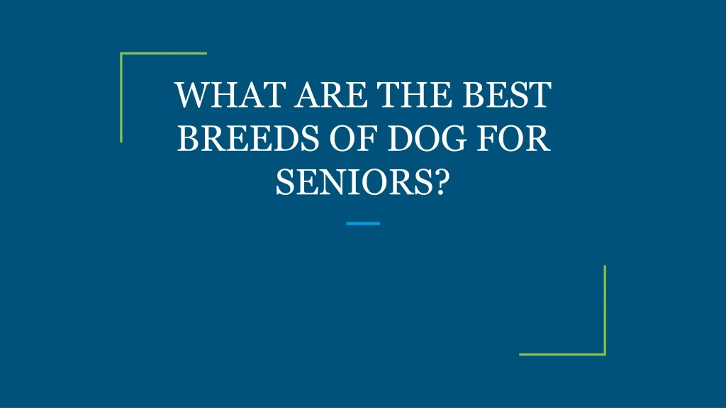 what are the best breeds of dog for seniors