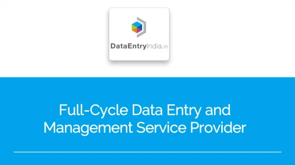 Full-Cycle Data Entry and Management Service Provider