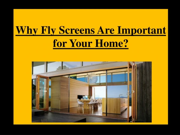 Why Fly Screens Are Important for Your Home?
