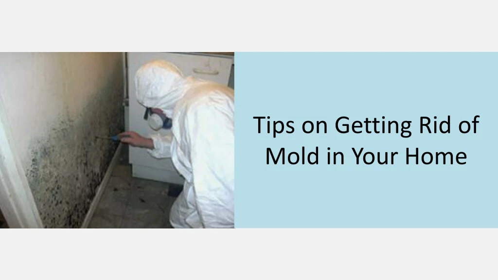 tips on getting rid of mold in your home