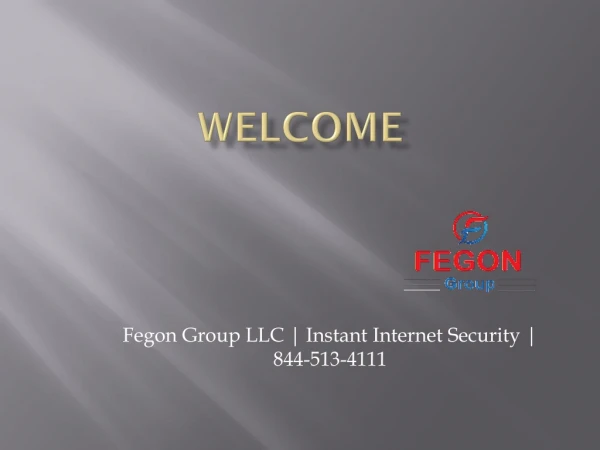 Fegon Group LLC | 8445134111 | Instant Internet Security
