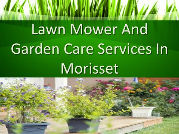 Lawn Mower And Garden Care Services In Morisset