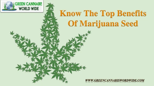 Know The Top Benefits Of Marijuana Seed