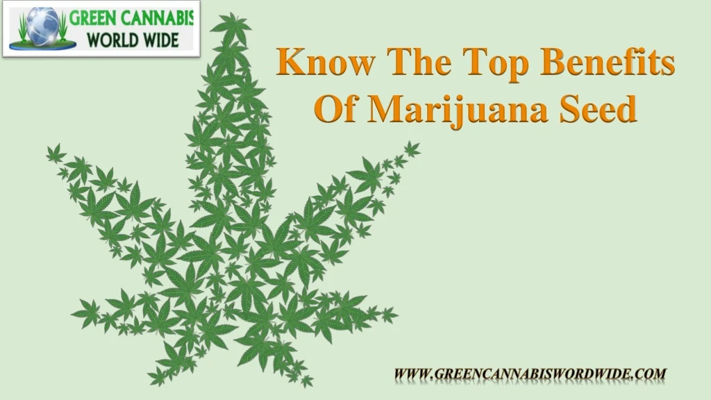 know the top benefits of marijuana seed