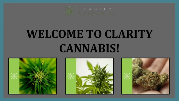 Basics of Bud – Part 1 | Clarity Cannabis