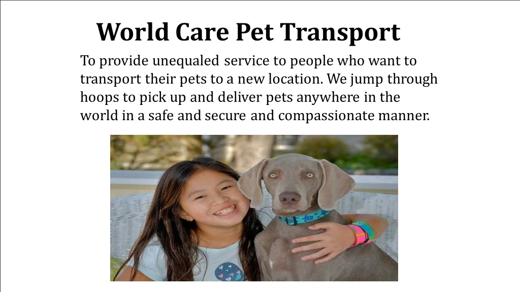 world care pet transport to provide unequaled