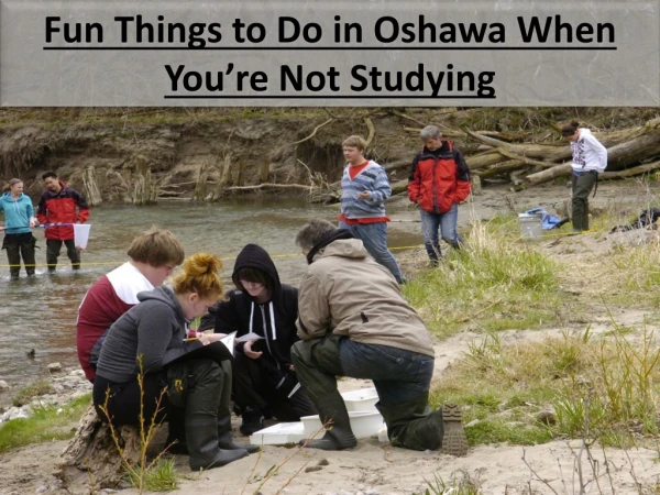 Fun Things to Do in Oshawa When You’re Not Studying