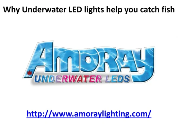 Why Underwater LED lights help you catch fish