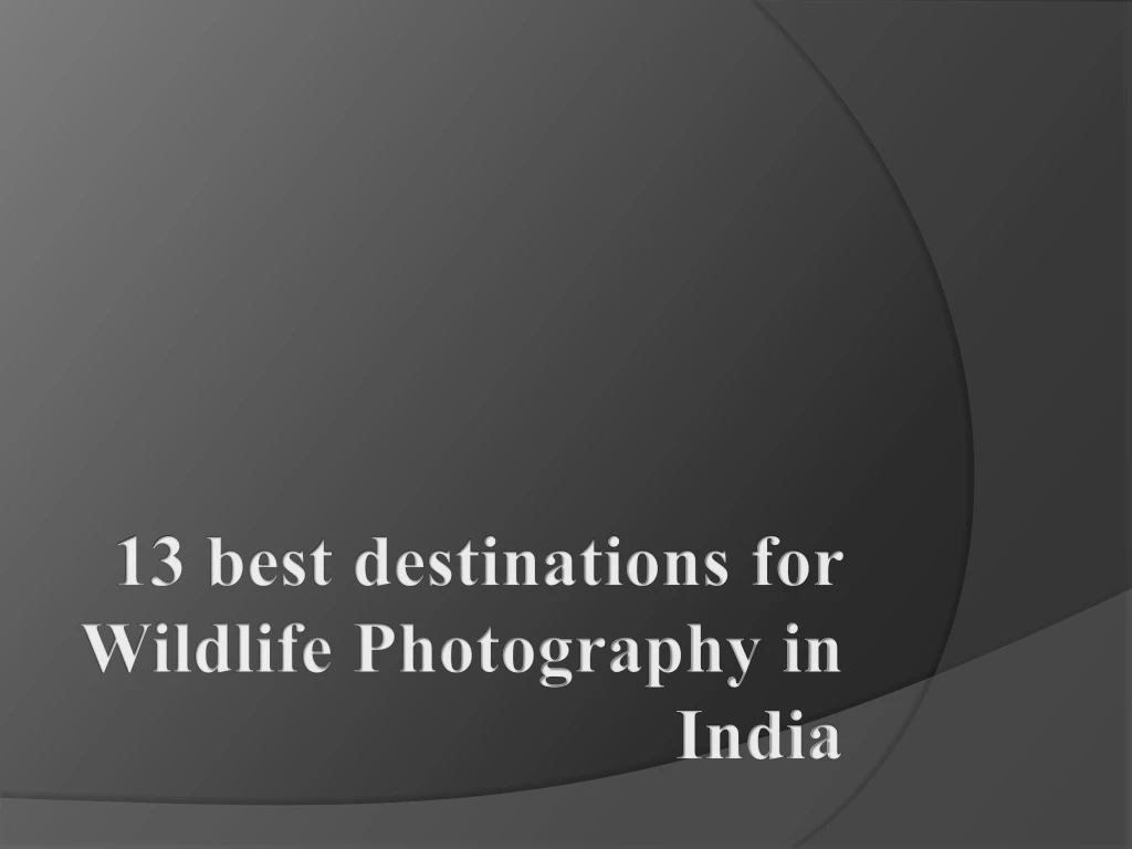 13 best destinations for wildlife photography in india