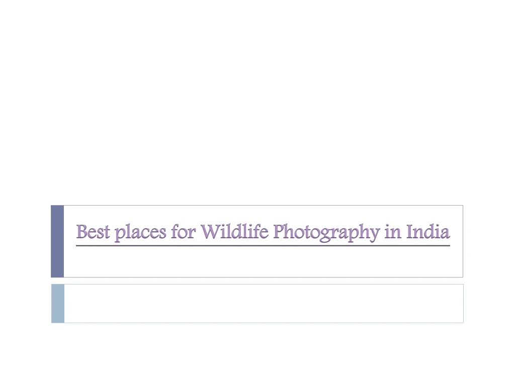 best places for wildlife photography in india