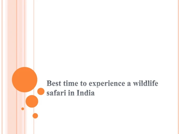 Best Time ro experience a wildlife safari in India