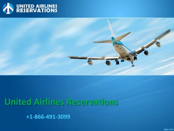 United Airlines Reservations | United Airlines Deals