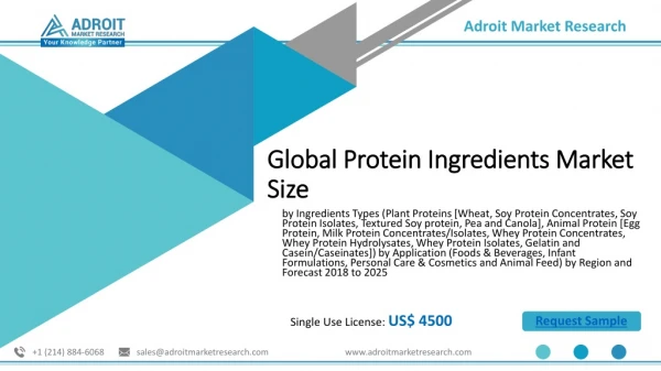 Protein Ingredients Market: Size, Share, Growth, Applications, Trends and Forecast 2018 to 2025