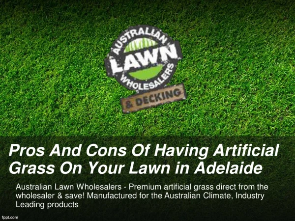 Pros And Cons Of Having Artificial Grass On Your Lawn in Adelaide