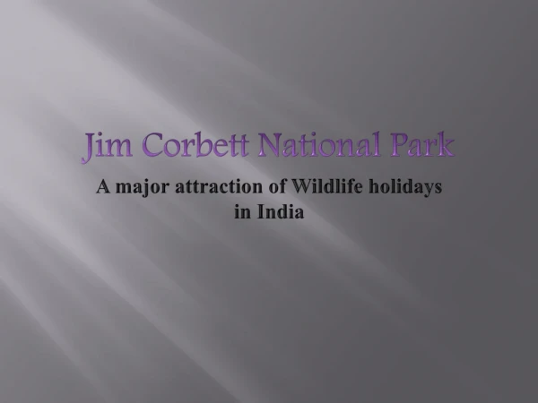 Jim Corbett National Park - an Attraction of wildlife holidays in India