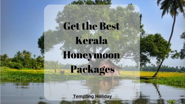 Book Kerala Honeymoon Packages from Tempting Holiday
