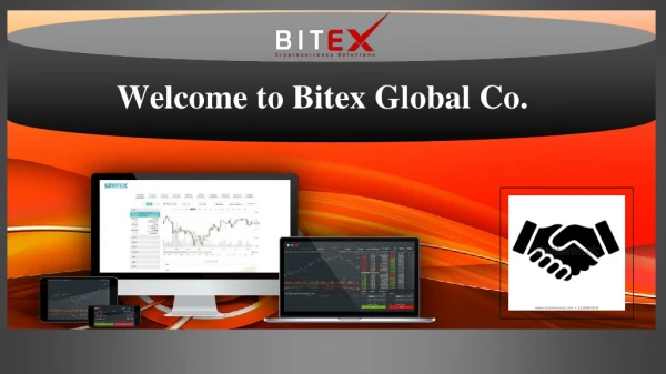 Best Payment Solution | Bitex Global Co.