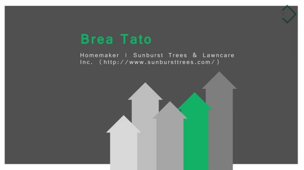 Brea Tato - Sunburst Trees & Lawncare Inc. Longwood, FL