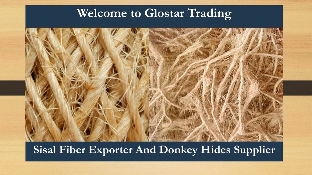 welcome to glostar trading