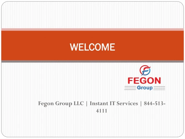 Fegon Group LLC | Instant IT Services | 8445134111