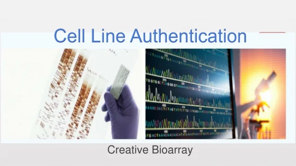 Cell Line Authentication