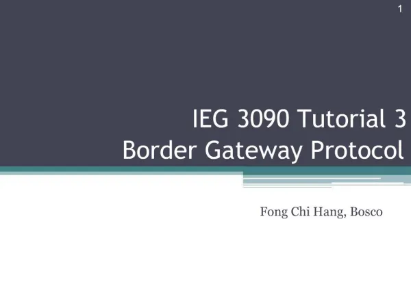 IEG 3090 Tutorial 3 Border Gateway Protocol