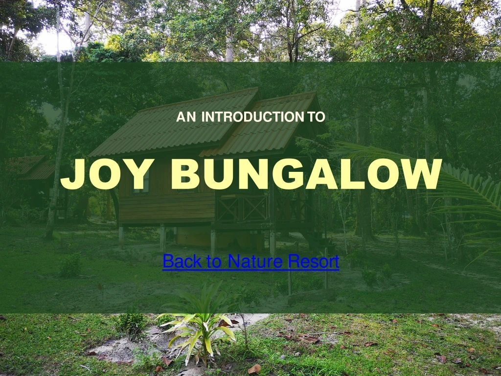 joy bungalow