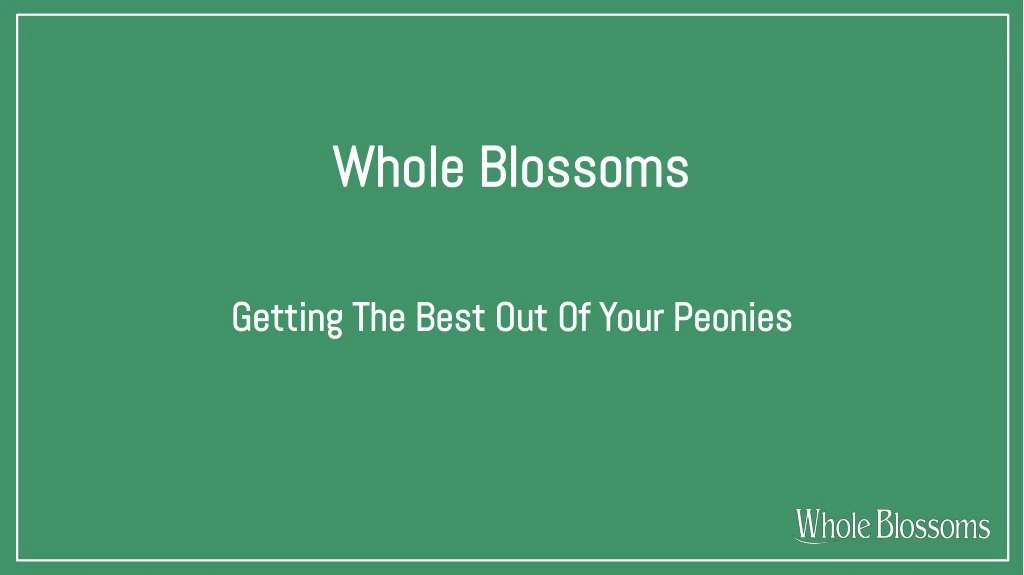 whole blossoms