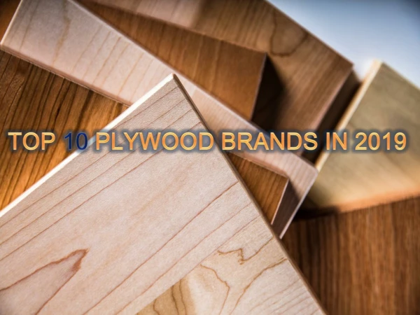 Top 10 Plywood Brands in 2019