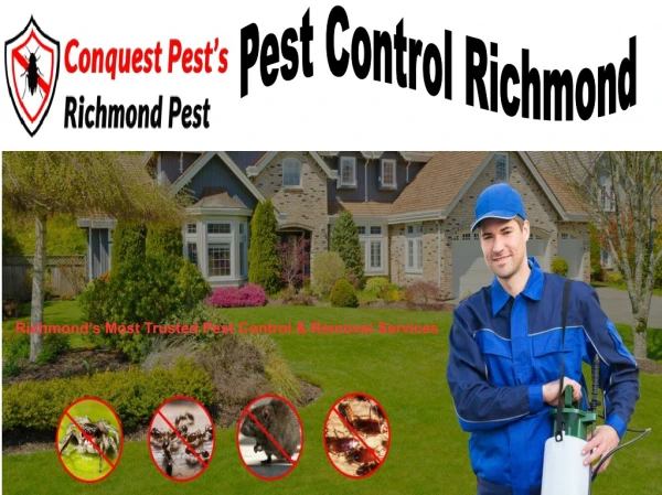 Bed Bug Removal Richmond