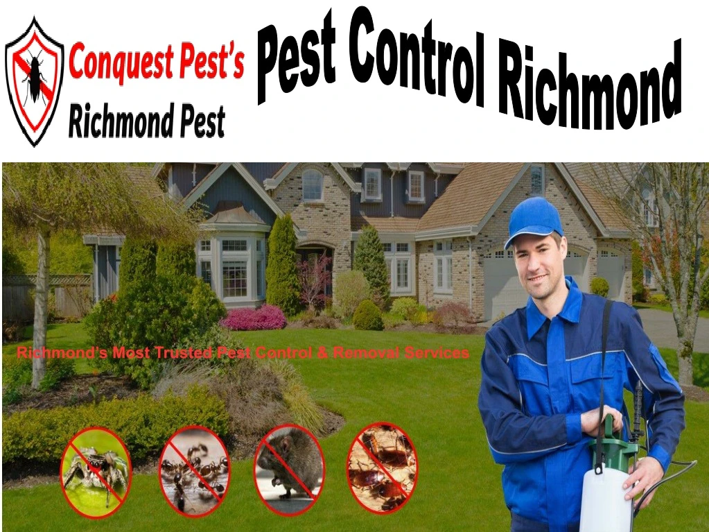 pest control richmond