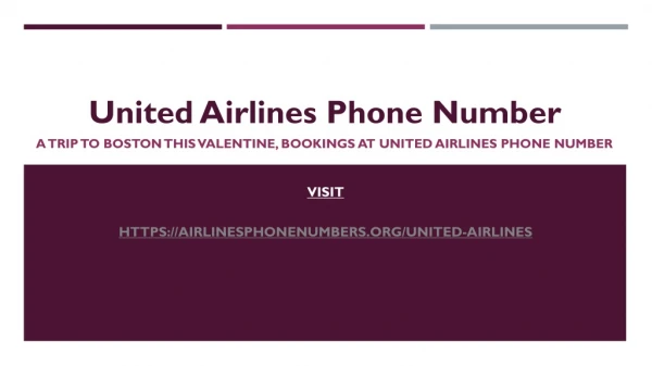 A Trip to Boston this Valentine, Bookings at United Airlines Phone Number
