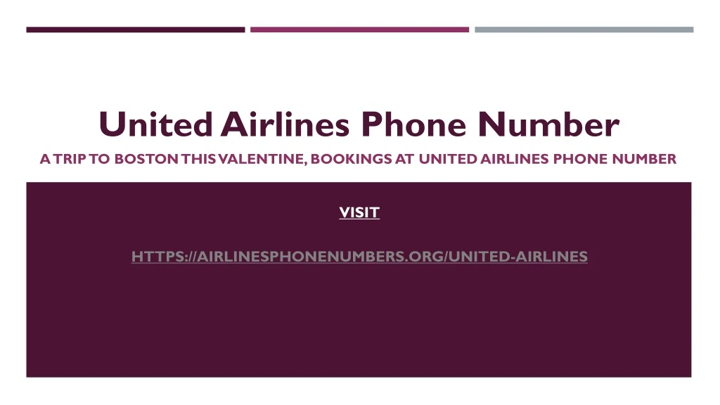 united airlines phone number