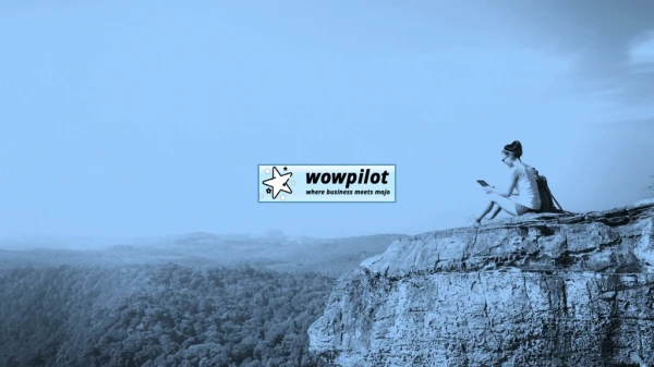 Turn reviews into referrals - and, ultimately, more sales | WowPilot