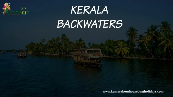 Beautiful backwaters in Kerala.